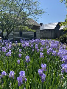 May Day in the Historic Park