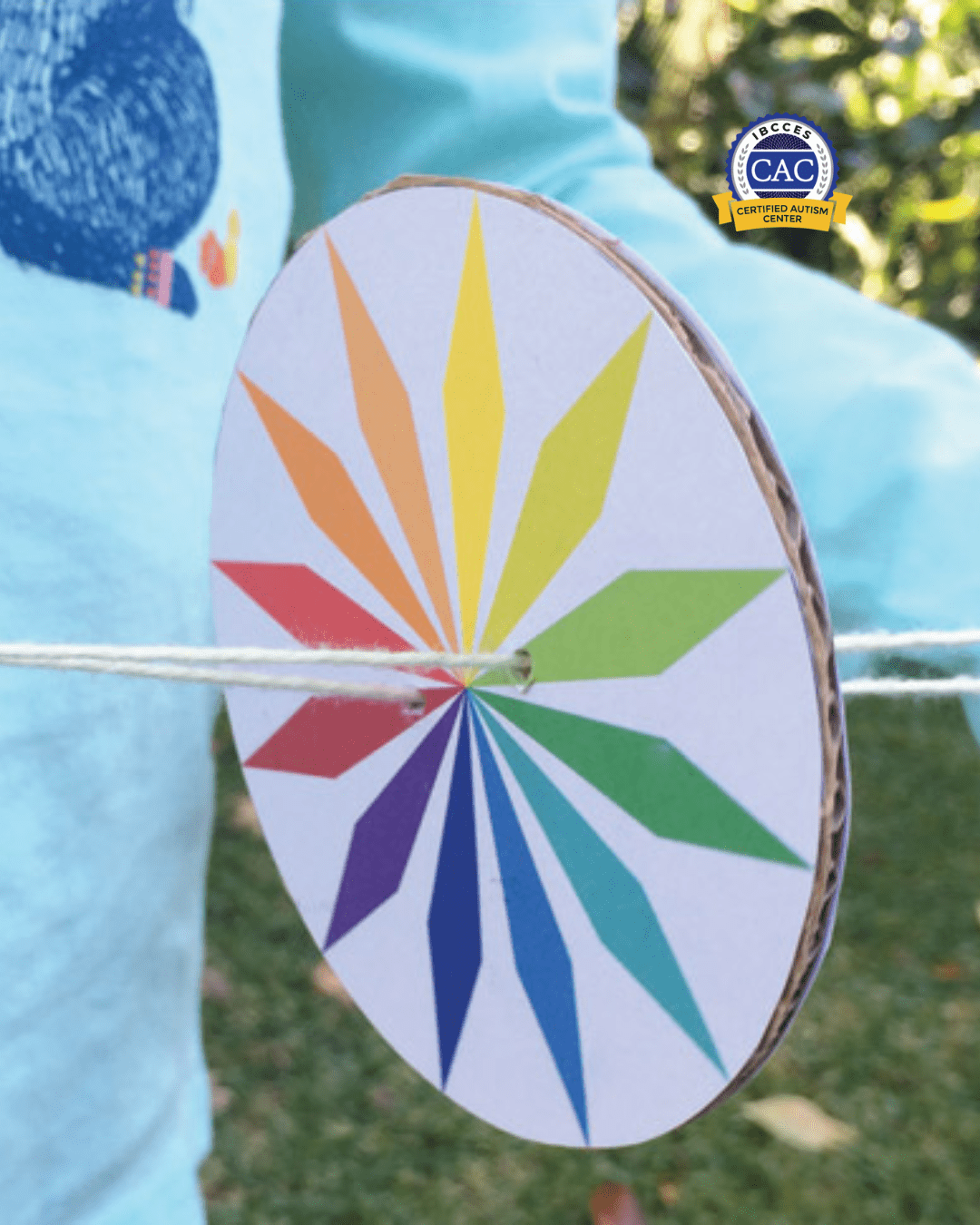 Whirligig